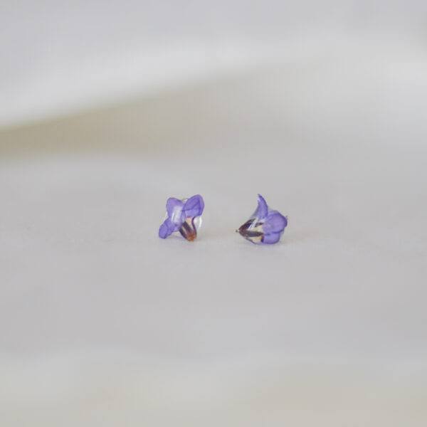 Drops of nature | Hannah